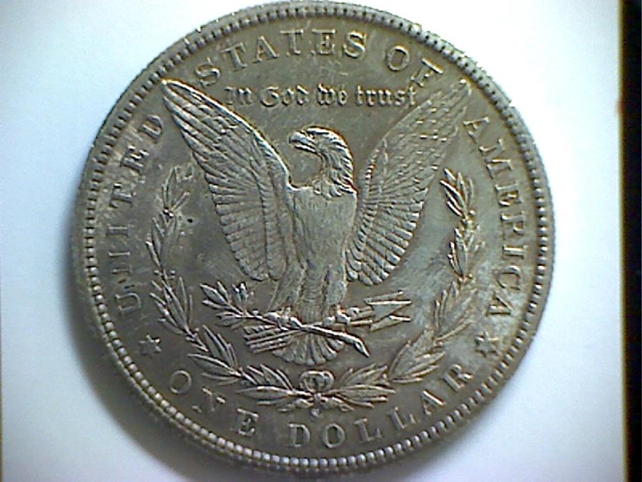 Grade-My-Morgans